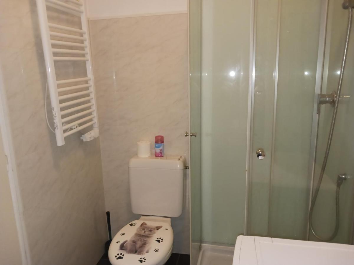 T2 50M2 Residence Les Acacias Vue Degagee Montagne Ax-les-Thermes Luaran gambar
